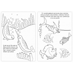 Niesamowity świat w oceanie. Kolorowy świat zabaw i świetne pomysły... B&F